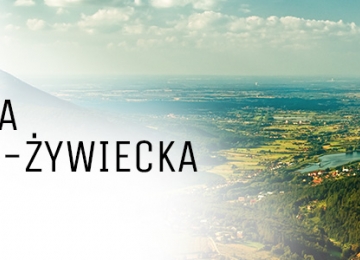 Komunikat Kurii Diecezji Bielsko-Żywieckiejw sprawie statusu Bractwa św. Piusa X oraz duszpasterstwa Wiernych związanych z Łacińską Tradycją Kościoła